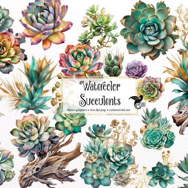 Watercolor Succulents Clipart - desert agave and aloe succulents in PNG format instant download for commercial use