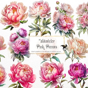 Aquarell rosa Pfingstrose Clipart - Pfingstrosen im PNG-Format sofort download für kommerzielle Nutzung