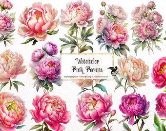 Watercolor Pink Peony Clipart - peonies in PNG format instant download for commercial use