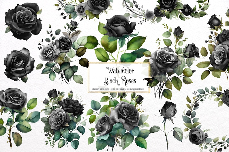 May include: Watercolor illustration of black roses with green leaves and stems. The image includes various arrangements of the flowers, some in bouquets and others as individual blooms. Text on the image reads "Watercolor Black Roses".