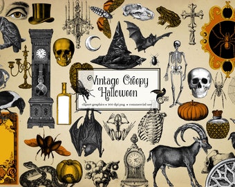 Vintage Halloween Clipart, Creepy Skulls, Bats, Spiders (Digital Download)