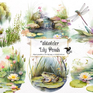 Aquarela Lily Pond Clipart - lindo nenúfar de primavera e lago de sapo download instantâneo em formato PNG para uso comercial