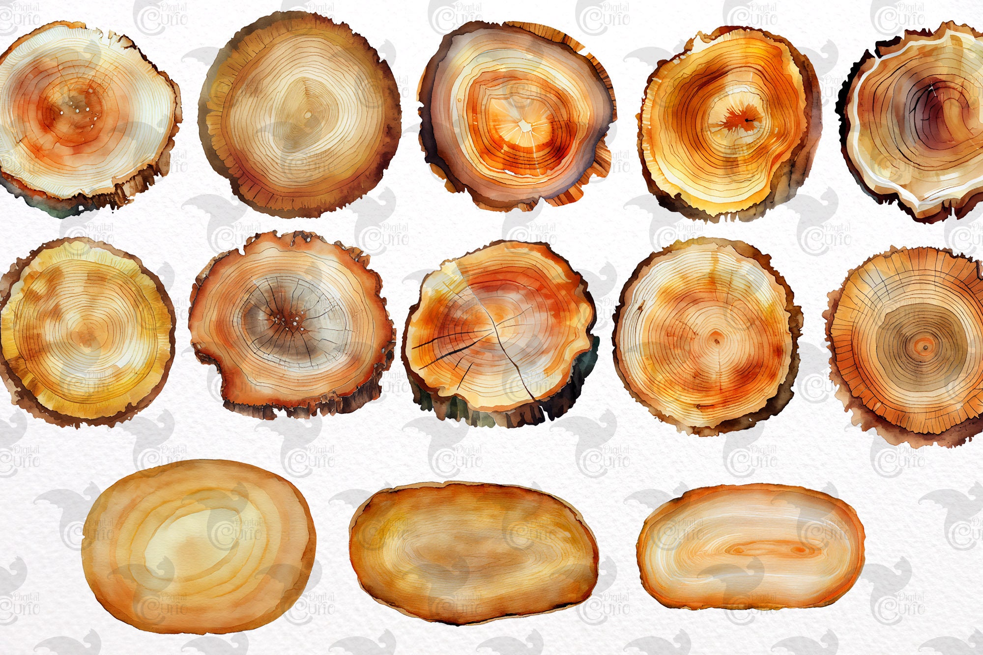 Watercolor Wood Slices Clipart – Rustic Frames PNG (digital Download ...