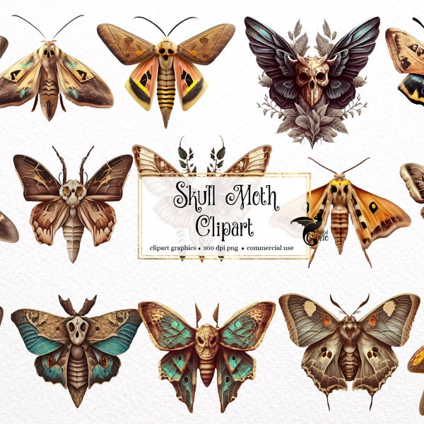 Skull Moth Clipart, death's head moth clip art, instant download moth clipart commercial use, insect and moth graphics