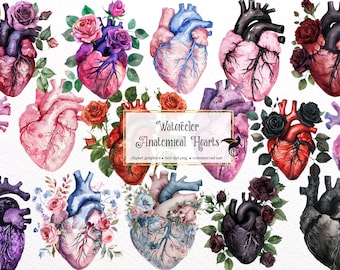 May include: Watercolor illustrations of anatomical hearts with floral arrangements. The hearts are in various colors, including red, pink, blue, purple, and black. The flowers are roses, some with thorns, in shades of red, pink, and black.