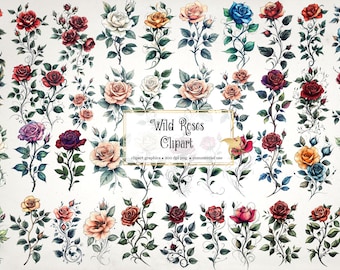145 Wild Roses Clipart - Floral Fantasy Digital Graphics (Instant Download)
