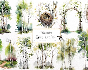 Watercolor Birch Tree Clipart – Spring Forest PNG (Digital Download)