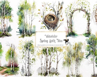 Watercolor Spring Birch Trees Clipart - springtime birch forest PNG format instant download for commercial use