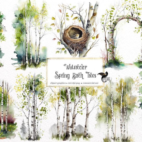 Watercolor Spring Birch Trees Clipart - springtime birch forest PNG format instant download for commercial use