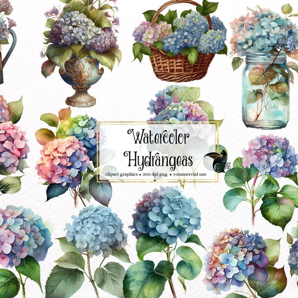 Watercolor Hydrangea Flowers Clipart - floral spring bouquets in PNG format instant download for commercial use