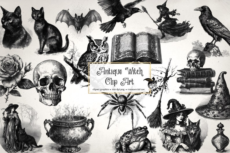 May include: Black and white vintage clip art illustrations of a witch, a skull, a crow, a cat, a spider, a frog, a cauldron, a broom, a book, a rose, a bat, an owl, and a witch's hat. The text "Antique Witch Clip Art" is included in the image.