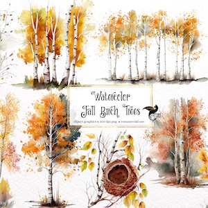 Watercolor Fall Birch Trees Clipart - autumn birch forest PNG format instant download for commercial use