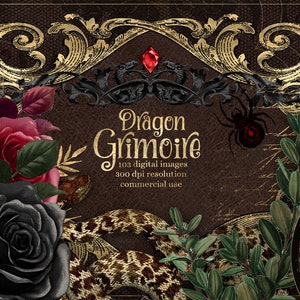 Può includere: Un'illustrazione digitale di un grimorio di drago con una cornice ornata in oro e nero, una gemma rossa, un ragno nero, un serpente, rose nere e un teschio. Il testo recita "Dragon Grimoire 103 immagini digitali 300 dpi risoluzione uso commerciale".