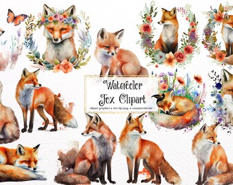 Dibujos de zorros en acuarela, ilustraciones de animales del bosque (PNG)