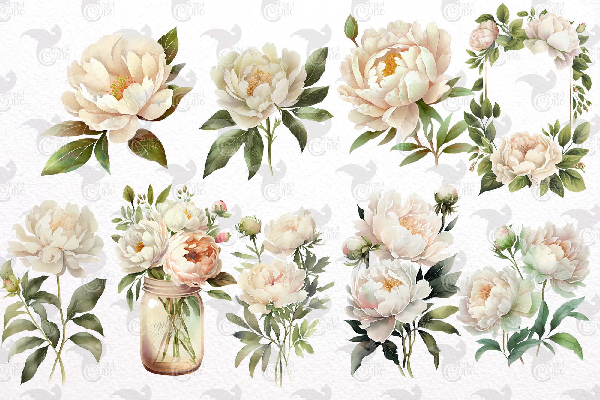 Watercolor White Peony Clipart - Peonies in PNG Format Instant Download ...