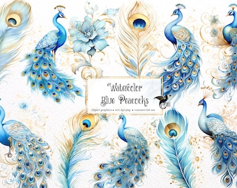 Watercolor Blue Peacock Clipart, Floral Feather Graphics (PNG, Digital Download)