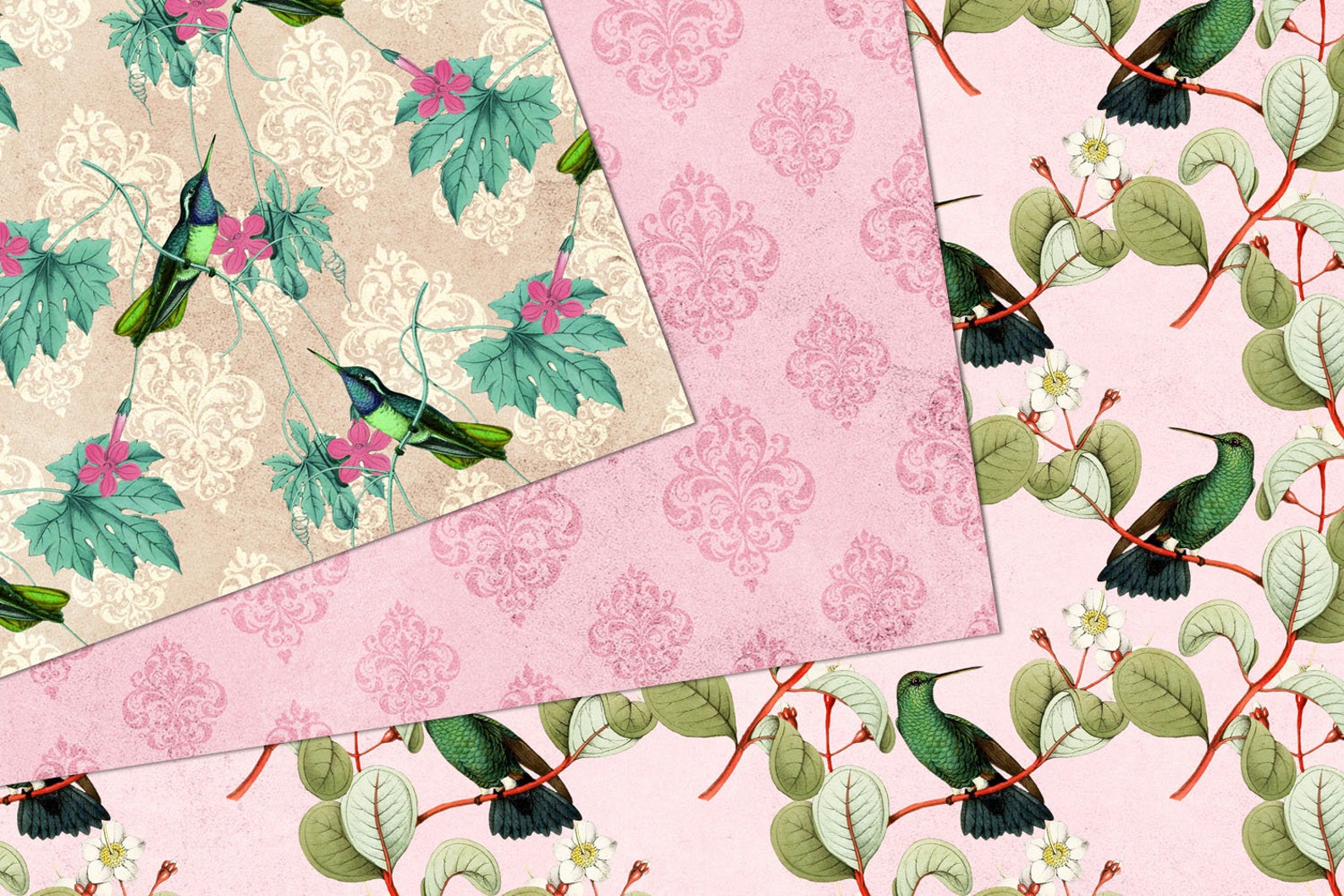 Vintage Pink Hummingbird Digital Paper, Seamless Patterns (digital ...