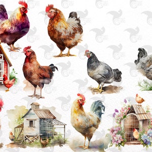 Watercolor Chicken Clipart - Cute Chickens and Chicks, Farm Animal PNG ...