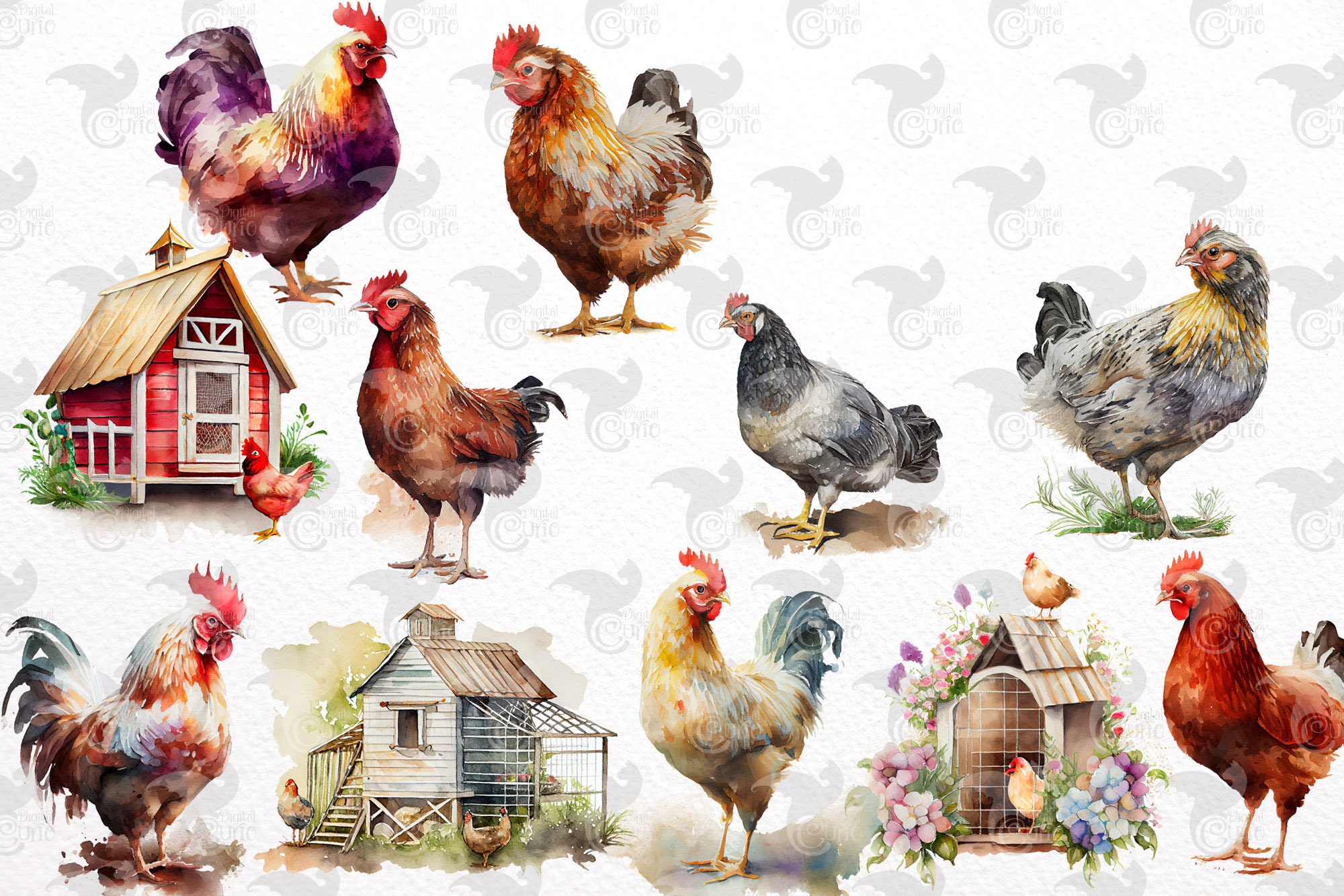 Watercolor Chicken Clipart – Farm Animal PNG Images (commercial Use) - Etsy