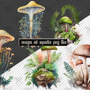 Op de afbeelding: Waterverfillustratie van vier verschillende soorten paddenstoelen met groene varens en bladeren. De paddenstoelen zijn geschilderd in tinten bruin, geel en groen.