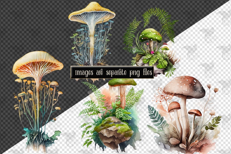 Op de afbeelding: Waterverfillustratie van vier verschillende soorten paddenstoelen met groene varens en bladeren. De paddenstoelen zijn geschilderd in tinten bruin, geel en groen.