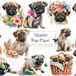Acquerello Pugs Clipart - download istantaneo in formato PNG di simpatici cani carlino e cuccioli per uso commerciale