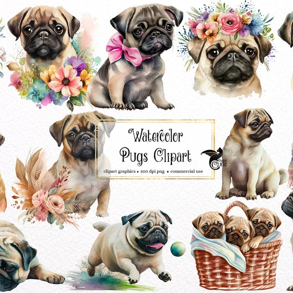 Watercolor Pugs Clipart - cute pug dogs and puppies PNG format instant download for commercial use