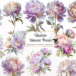 Aquarell Irisierende Pfingstrose Clipart - Pfingstrosen im PNG-Format zum sofortigen Download für kommerzielle Nutzung