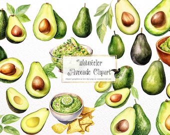 Watercolor Avocado Clipart – Guacamole Graphics, PNG (Digital Download)