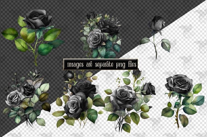 May include: Watercolor illustrations of black roses with green leaves. The image includes several arrangements of the flowers, some with buds and others in full bloom. The text "images are separate png files" is also present.