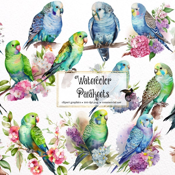 Watercolor Parakeet Clipart - tropical budgie birds with flowers and leaves in PNG format instant download for commercial use