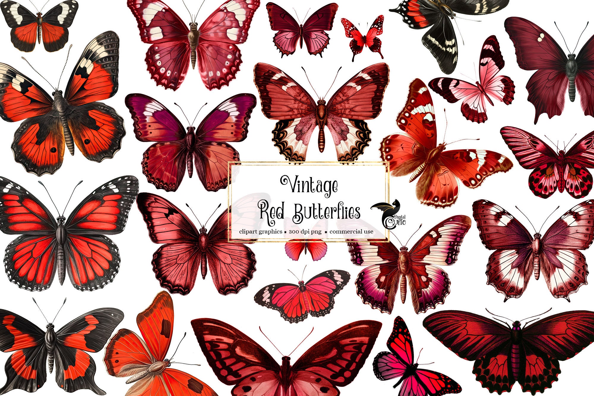 赤い蝶 ビンテージの赤い蝶、ビンテージの蝶のクリップアート、アンティークの