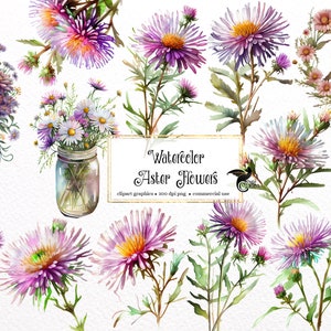 Watercolor Aster Clipart - spring purple flowers, wildflower bouquets in PNG format instant download for commercial use