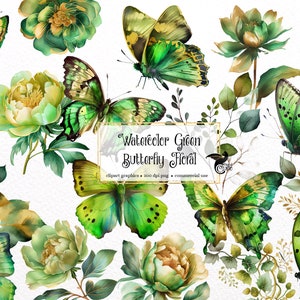 Watercolor Green Butterfly Floral Clipart - butterflies and flowers in PNG format instant download for commercial use