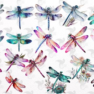 May include: A collection of watercolor dragonfly illustrations in various colors, including blue, green, pink, and purple. The dragonflies are depicted with intricate details and delicate wings.