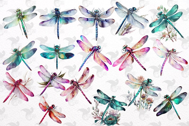 May include: A collection of watercolor dragonfly illustrations in various colors, including blue, green, pink, and purple. The dragonflies are depicted with intricate details and delicate wings.