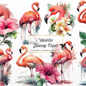 Watercolor Flamingo Clipart - tropical birds with flowers and leaves in PNG format instant download for commercial use