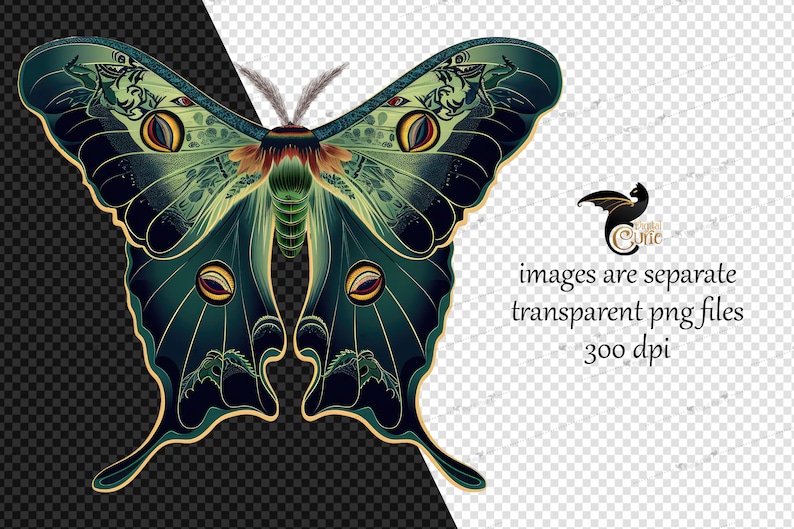 Puede incluir: Una mariposa grande, verde y azul con patrones intrincados y detalles dorados. La mariposa tiene ojos grandes y redondos y un dise&ntilde;o detallado en sus alas.