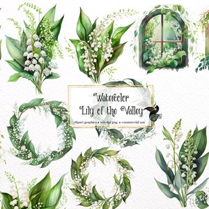 Aquarelle Lily of the Valley Flowers Clipart - Bouquets de fleurs printanières florales mai cloches en téléchargement instantané au format PNG pour un usage commercial