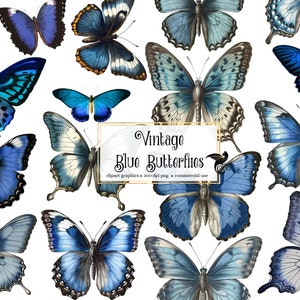 Vintage Blue Butterflies, vintage butterfly clipart, antique illustrations, scientific illustrations, PNG graphics, scrapbook embellishments
