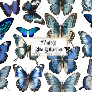 Borboletas azuis vintage, clipart de borboleta vintage, ilustrações antigas, ilustrações científicas, gráficos PNG, enfeites de álbum de recortes