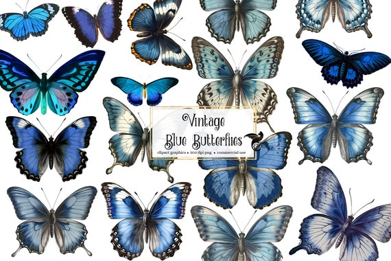  Seamless Blue Butterflies on Hand Written Text Note