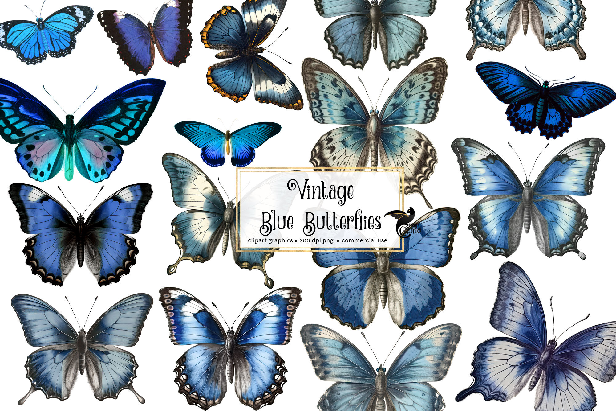Printable Blue Butterfly Template