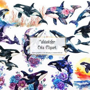 Watercolor Orca Clipart - nautical ocean killer whale clip art in PNG format instant download for commercial use