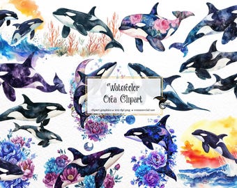 Akwarelowa grafika orki – grafika wieloryba oceanicznego (PNG, pobieranie cyfrowe)