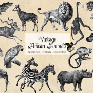 Clipart animaux d'Afrique vintage, illustrations de safari antiques, clipart png, éléphant, lion, zèbre, girafe en téléchargement numérique, usage commercial