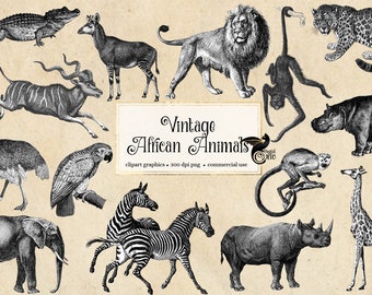 Vintage African Animals Clipart, antique safari illustrations, png clip art, elephant, lion, zebra, giraffe digital download, commercial use