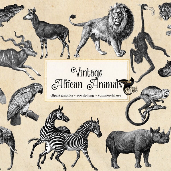 Vintage African Animals Clipart, antique safari illustrations, png clip art, elephant, lion, zebra, giraffe digital download, commercial use