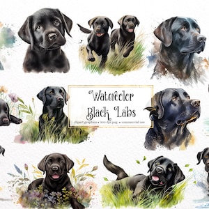 Aquarelle Black Labs Clipart - mignon labrador chiens et chiots format PNG téléchargement instantané pour un usage commercial