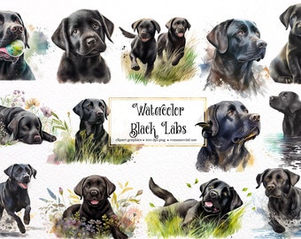 Watercolor Black Labs Clipart - cute labrador dogs and puppies PNG format instant download for commercial use